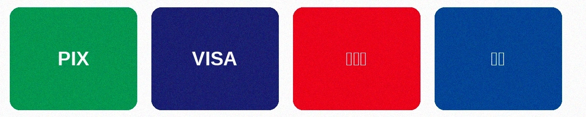 支持的支付方式包括PIX即时支付、VISA信用卡、万事达信用卡和银联借记卡