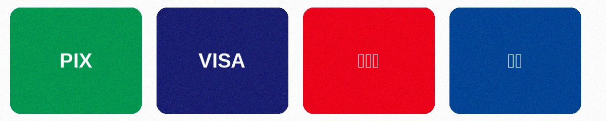 支持的支付方式包括PIX即时支付、VISA信用卡、万事达信用卡和银联借记卡